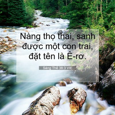 Picture 07 - Sáng Thế 38:3 VIE - Nàng thọ thai, sanh được một con trai, - Bible Verse Picture