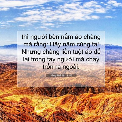 Picture 07 - Sáng Thế 39:12 VIE - thì người bèn nắm áo chàng mà rằng: - Bible Verse Picture