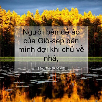 Picture 07 - Sáng Thế 39:16 VIE - Người bèn để áo của Giô-sép bên - Bible Verse Picture