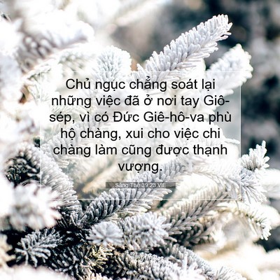 Picture 07 - Sáng Thế 39:23 VIE - Chủ ngục chẳng soát lại những việc - Bible Verse Picture