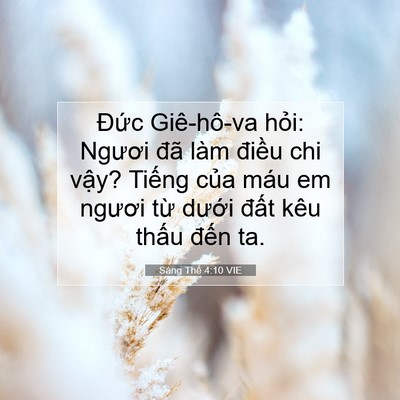 Picture 07 - Sáng Thế 4:10 VIE - Đức Giê-hô-va hỏi: Ngươi đã làm - Bible Verse Picture
