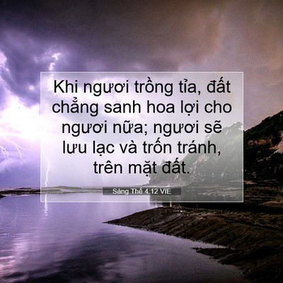 Picture 07 - Sáng Thế 4:12 VIE - Khi ngươi trồng tỉa, đất chẳng sanh - Bible Verse Picture