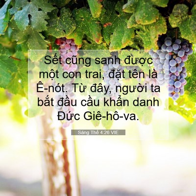 Picture 07 - Sáng Thế 4:26 VIE - Sết cũng sanh được một con trai, đặt - Bible Verse Picture