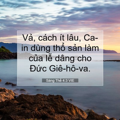 Picture 07 - Sáng Thế 4:3 VIE - Vả, cách ít lâu, Ca-in dùng thổ sản - Bible Verse Picture