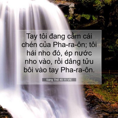 Picture 07 - Sáng Thế 40:11 VIE - Tay tôi đang cầm cái chén của Pha-ra-ôn; - Bible Verse Picture