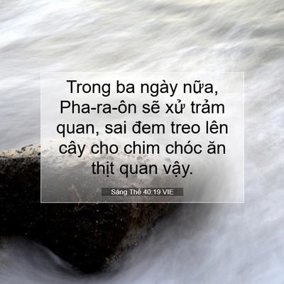 Picture 07 - Sáng Thế 40:19 VIE - Trong ba ngày nữa, Pha-ra-ôn sẽ xử trảm - Bible Verse Picture