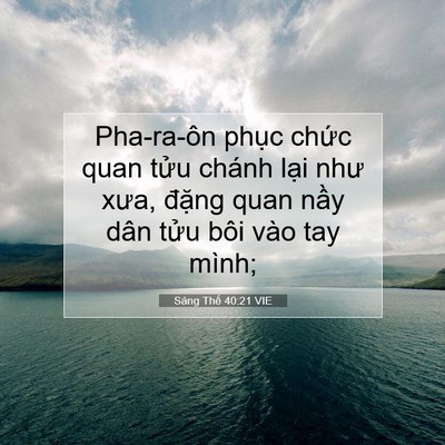 Picture 07 - Sáng Thế 40:21 VIE - Pha-ra-ôn phục chức quan tửu chánh lại - Bible Verse Picture