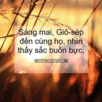 Picture 07 - Sáng Thế 40:6 VIE - Sáng mai, Giô-sép đến cùng họ, nhìn - Bible Verse Picture