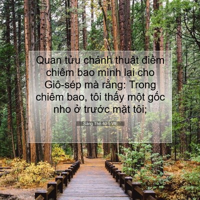 Picture 07 - Sáng Thế 40:9 VIE - Quan tửu chánh thuật điềm chiêm bao - Bible Verse Picture