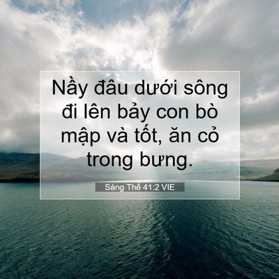 Picture 07 - Sáng Thế 41:2 VIE - Nầy đâu dưới sông đi lên bảy con bò - Bible Verse Picture