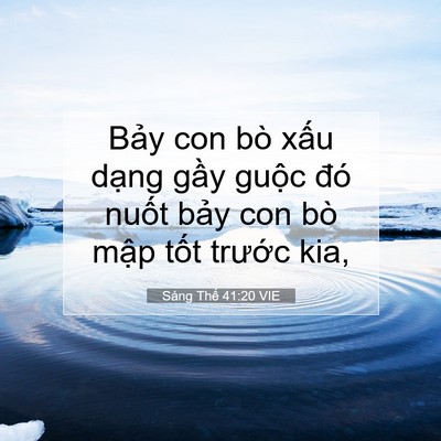 Picture 07 - Sáng Thế 41:20 VIE - Bảy con bò xấu dạng gầy guộc đó - Bible Verse Picture