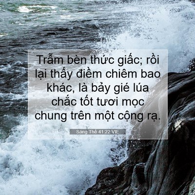 Picture 07 - Sáng Thế 41:22 VIE - Trẫm bèn thức giấc; rồi lại thấy - Bible Verse Picture