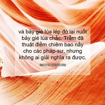 Picture 07 - Sáng Thế 41:24 VIE - và bảy gié lúa lép đó lại nuốt bảy - Bible Verse Picture