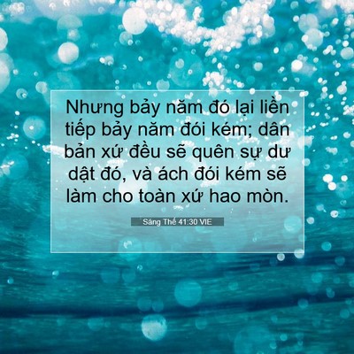 Picture 07 - Sáng Thế 41:30 VIE - Nhưng bảy năm đó lại liền tiếp bảy - Bible Verse Picture