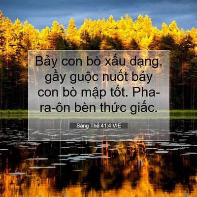 Picture 07 - Sáng Thế 41:4 VIE - Bảy con bò xấu dạng, gầy guộc nuốt - Bible Verse Picture