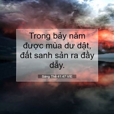 Picture 07 - Sáng Thế 41:47 VIE - Trong bảy năm được mùa dư dật, đất - Bible Verse Picture
