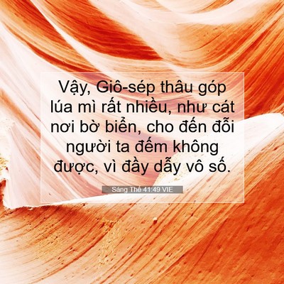 Picture 07 - Sáng Thế 41:49 VIE - Vậy, Giô-sép thâu góp lúa mì rất - Bible Verse Picture