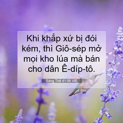 Picture 07 - Sáng Thế 41:56 VIE - Khi khắp xứ bị đói kém, thì Giô-sép - Bible Verse Picture