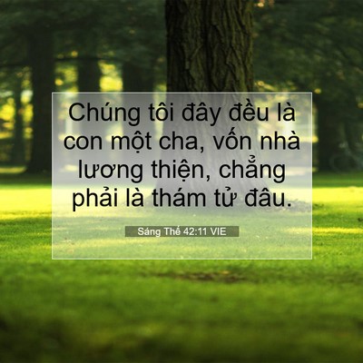 Picture 07 - Sáng Thế 42:11 VIE - Chúng tôi đây đều là con một cha, vốn - Bible Verse Picture