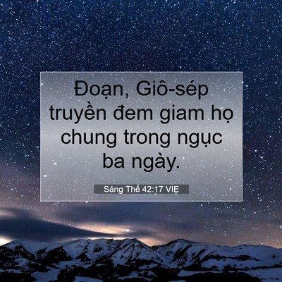 Picture 07 - Sáng Thế 42:17 VIE - Đoạn, Giô-sép truyền đem giam họ chung - Bible Verse Picture