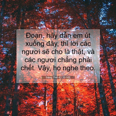 Picture 07 - Sáng Thế 42:20 VIE - Đoạn, hãy dẫn em út xuống đây, thì - Bible Verse Picture