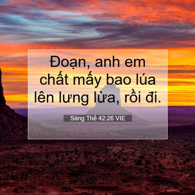 Picture 07 - Sáng Thế 42:26 VIE - Đoạn, anh em chất mấy bao lúa lên lưng - Bible Verse Picture