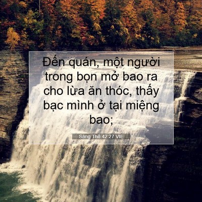 Picture 07 - Sáng Thế 42:27 VIE - Đến quán, một người trong bọn mở bao - Bible Verse Picture
