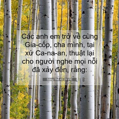 Picture 07 - Sáng Thế 42:29 VIE - Các anh em trở về cùng Gia-cốp, cha - Bible Verse Picture