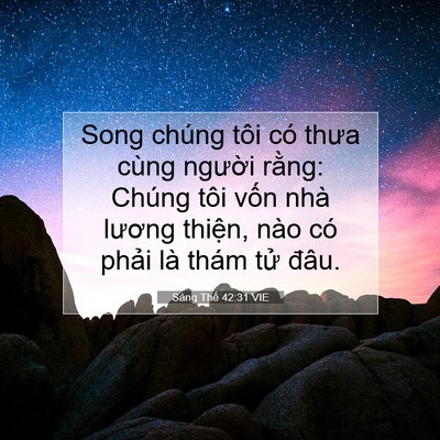 Picture 07 - Sáng Thế 42:31 VIE - Song chúng tôi có thưa cùng người rằng: - Bible Verse Picture
