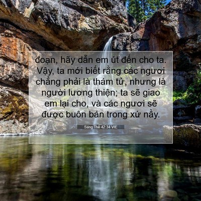 Picture 07 - Sáng Thế 42:34 VIE - đoạn, hãy dẫn em út đến cho ta. Vậy, - Bible Verse Picture