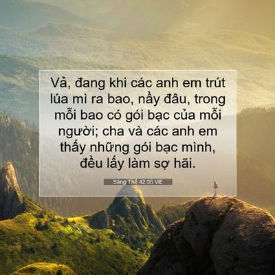 Picture 07 - Sáng Thế 42:35 VIE - Vả, đang khi các anh em trút lúa mì ra - Bible Verse Picture