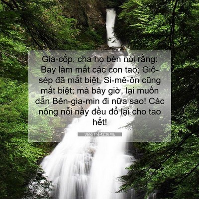 Picture 07 - Sáng Thế 42:36 VIE - Gia-cốp, cha họ bèn nói rằng: Bay làm - Bible Verse Picture