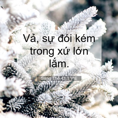 Picture 07 - Sáng Thế 43:1 VIE - Vả, sự đói kém trong xứ lớn - Bible Verse Picture