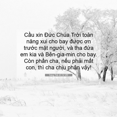 Picture 07 - Sáng Thế 43:14 VIE - Cầu xin Đức Chúa Trời toàn năng xui cho - Bible Verse Picture
