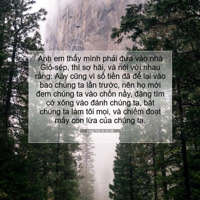 Picture 07 - Sáng Thế 43:18 VIE - Anh em thấy mình phải đưa vào nhà - Bible Verse Picture