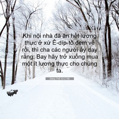 Picture 07 - Sáng Thế 43:2 VIE - Khi nội nhà đã ăn hết lương thực ở - Bible Verse Picture