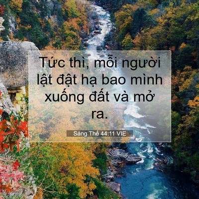 Picture 07 - Sáng Thế 44:11 VIE - Tức thì, mỗi người lật đật hạ bao - Bible Verse Picture