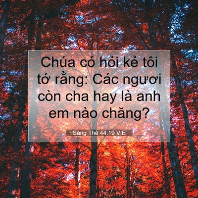 Picture 07 - Sáng Thế 44:19 VIE - Chúa có hỏi kẻ tôi tớ rằng: Các - Bible Verse Picture