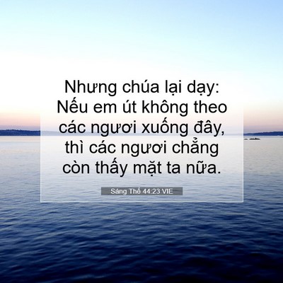 Picture 07 - Sáng Thế 44:23 VIE - Nhưng chúa lại dạy: Nếu em út không - Bible Verse Picture