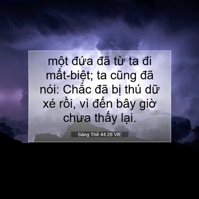 Picture 07 - Sáng Thế 44:28 VIE - một đứa đã từ ta đi mất-biệt; ta - Bible Verse Picture