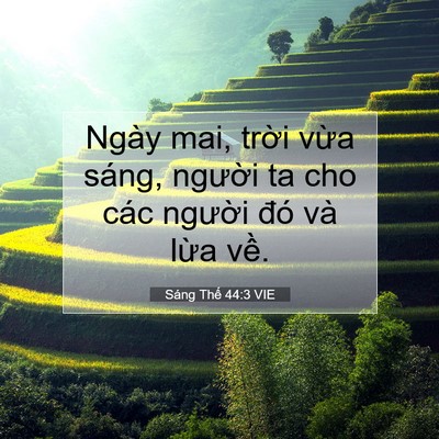 Picture 07 - Sáng Thế 44:3 VIE - Ngày mai, trời vừa sáng, người ta cho - Bible Verse Picture