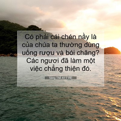 Picture 07 - Sáng Thế 44:5 VIE - Có phải cái chén nầy là của chúa ta - Bible Verse Picture