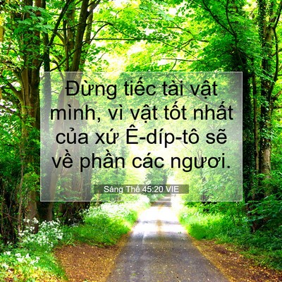 Picture 07 - Sáng Thế 45:20 VIE - Đừng tiếc tài vật mình, vì vật tốt - Bible Verse Picture