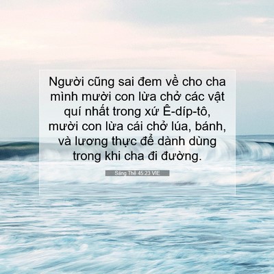 Picture 07 - Sáng Thế 45:23 VIE - Người cũng sai đem về cho cha mình - Bible Verse Picture