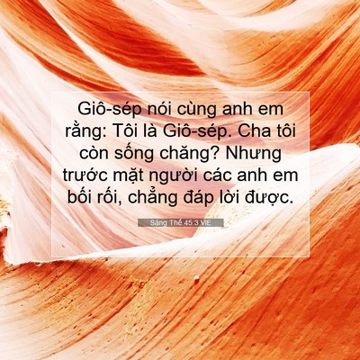 Picture 07 - Sáng Thế 45:3 VIE - Giô-sép nói cùng anh em rằng: Tôi là - Bible Verse Picture