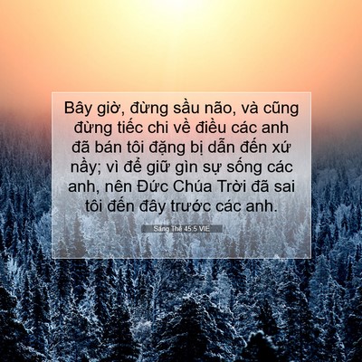 Picture 07 - Sáng Thế 45:5 VIE - Bây giờ, đừng sầu não, và cũng đừng - Bible Verse Picture