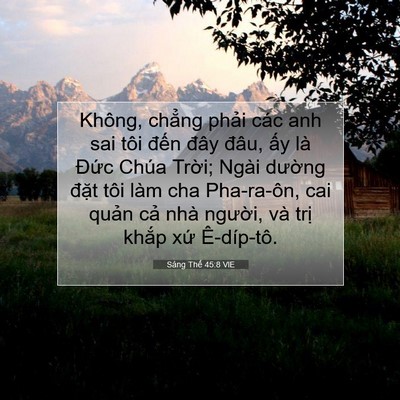 Picture 07 - Sáng Thế 45:8 VIE - Không, chẳng phải các anh sai tôi đến - Bible Verse Picture