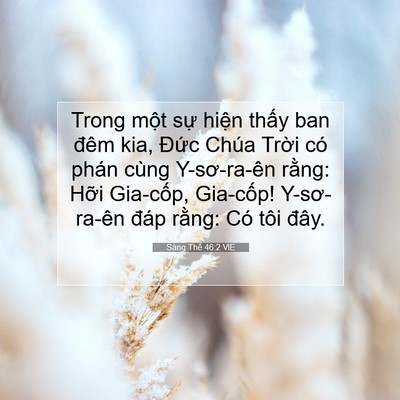 Picture 07 - Sáng Thế 46:2 VIE - Trong một sự hiện thấy ban đêm kia, - Bible Verse Picture