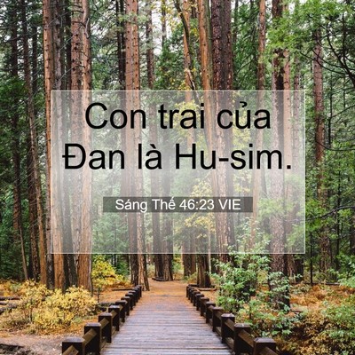 Picture 07 - Sáng Thế 46:23 VIE - Con trai của Đan là - Bible Verse Picture