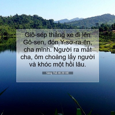 Picture 07 - Sáng Thế 46:29 VIE - Giô-sép thắng xe đi lên Gô-sen, đón - Bible Verse Picture